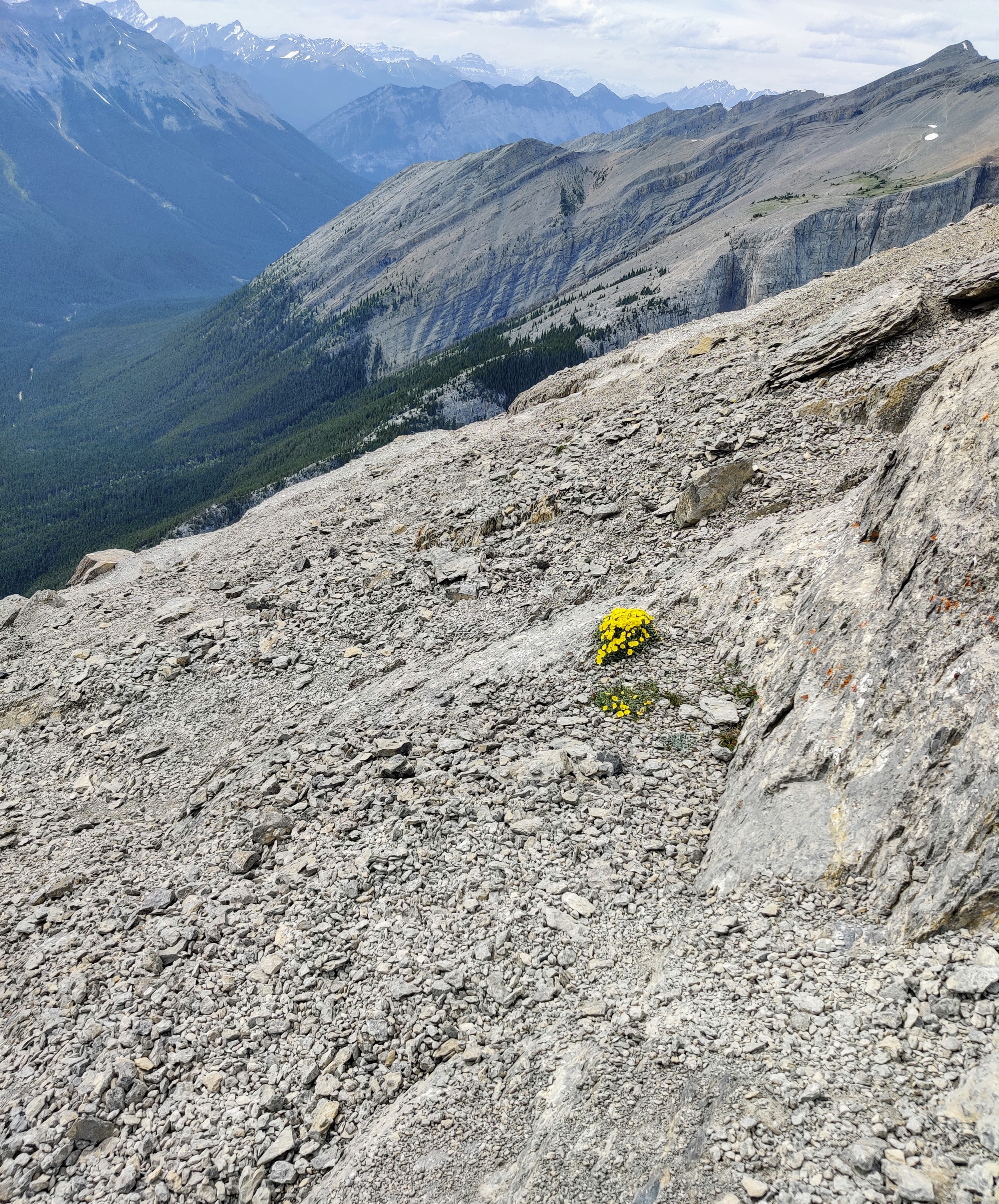 Summit Views
